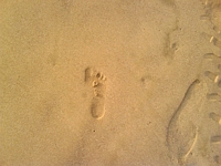 09-07-30_beach_foot_print