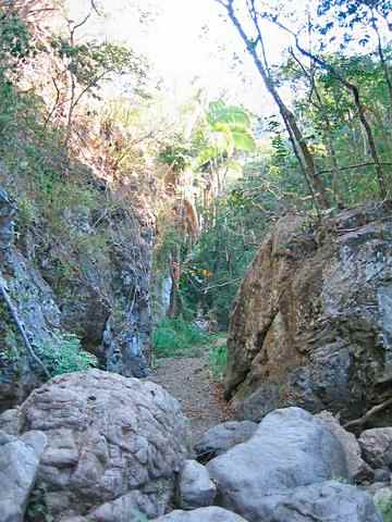 Trail scenery